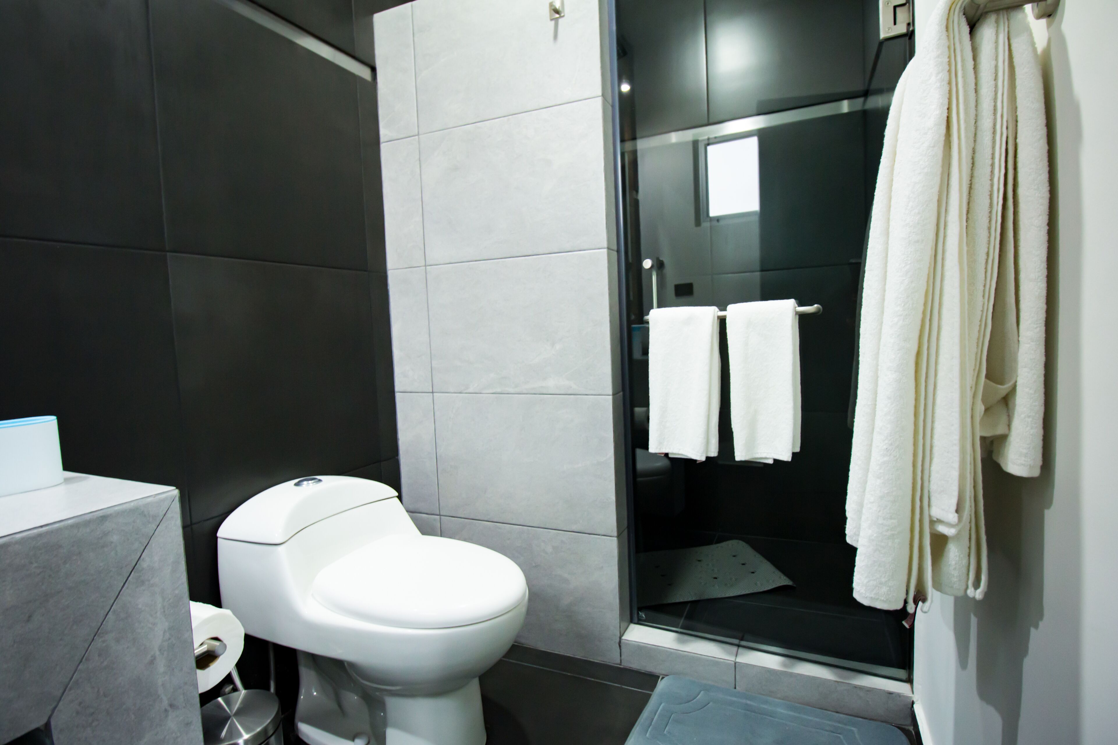 Ein modernes Badezimmer mit Toilette, einer Duschkabine aus Glas und einem Handtuchhalter.