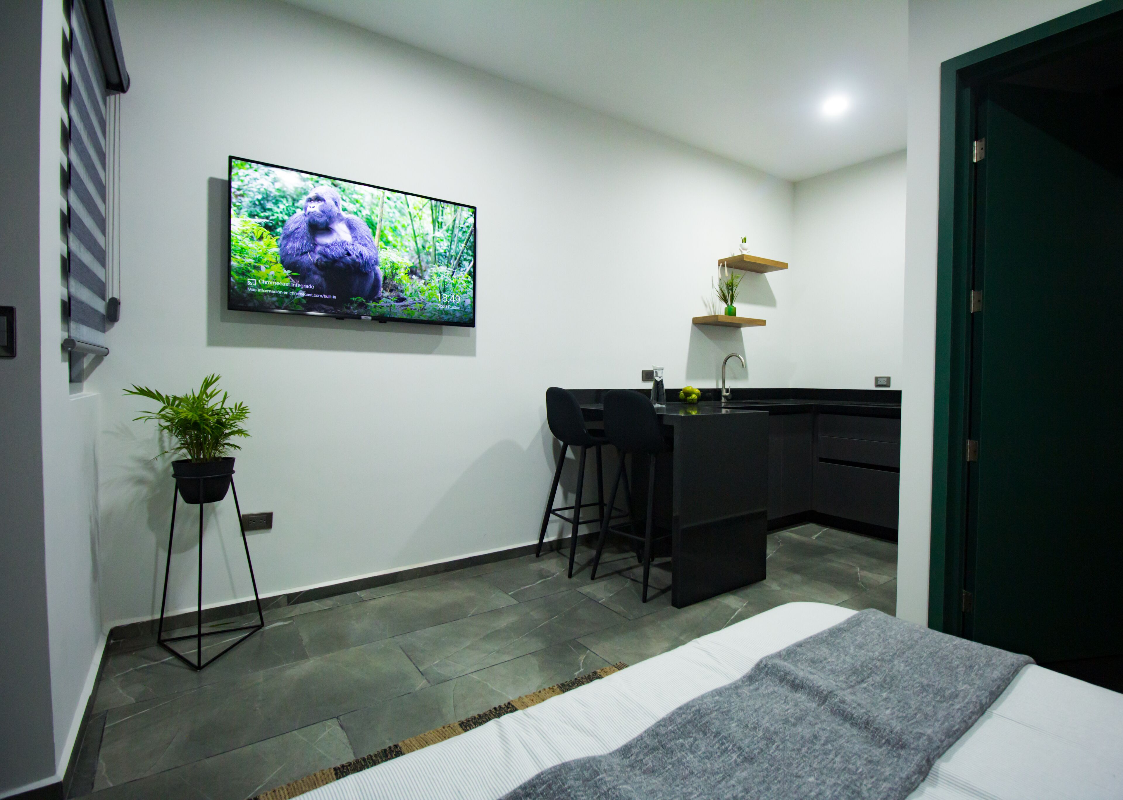 A modern hotel room with a bed, a TV mounted on the wall, a small kitchen area, and a potted plant.