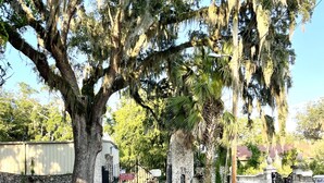 A gated entrance with a large tree and a stone wall. - Carriage Manor- Right next to the  Fountain of Youth & Beach.
Pets are welcomed! (St. Augustine)