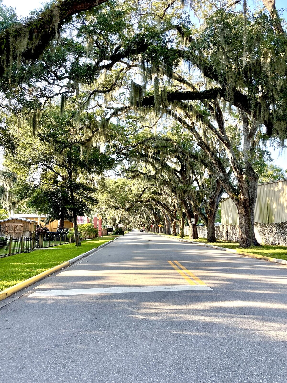 Photo 39 of Carriage Manor- Right next to the Fountain of Youth & Beach.
Pets are welcomed!