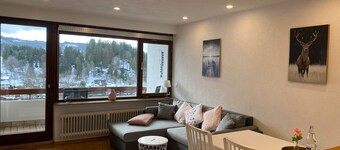 Vacation apartment Schwarzwaldblick in Lenzkirch (incl. HSC)