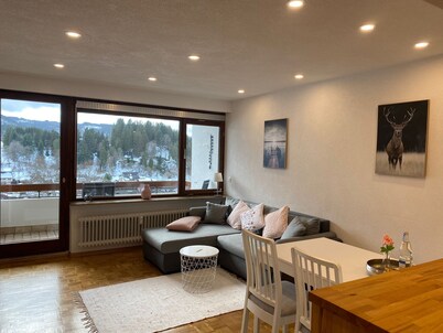 Vacation apartment Schwarzwaldblick in Lenzkirch (incl. HSC)