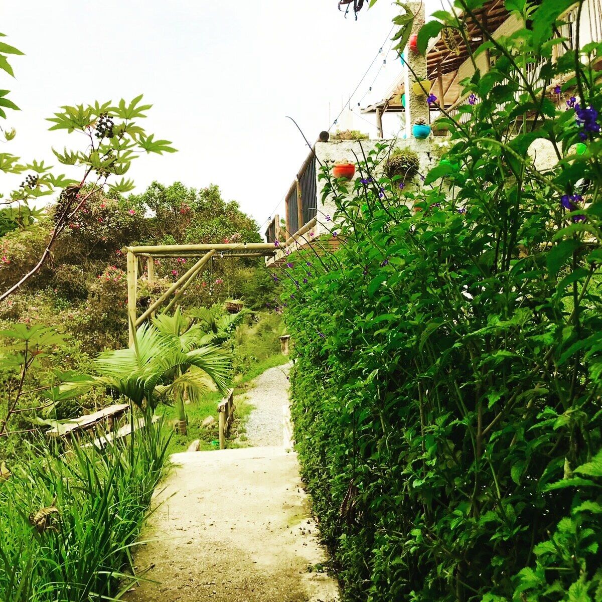 Overnattingsstedets uteområder