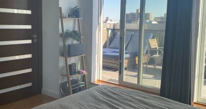 Penthouse w/ private terrace. Williamsburg duplex