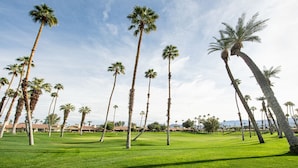 A golf course with tall palm trees and a clear sky. - Palm Desert Private Retreat  (Palm Desert)