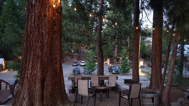 An outdoor seating area with tables and chairs, surrounded by trees and string lights. - This fourplex is a 1 bedroom(s), 1 bathrooms, located in Shaver Lake, CA. (Shaver Lake)