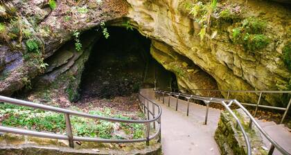 1BR Suite w/ 2 Doubles | Free Breakfast + Pool