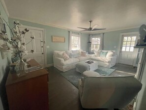 Smart TV, fireplace, books