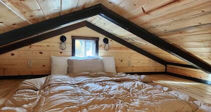 Cozy 1-bedroom cabin in Heron, MT