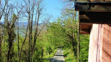 Monolocale | Parco della struttura