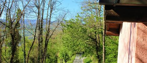 Studio | Unterkunftsgelände