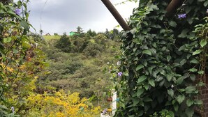 A garden with various plants and flowers, a brick wall, and a view of a hillside with trees. - Junior Suite Mesh View with view of the mountains (Rionegro)
