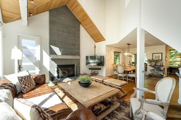 TV, fireplace, books, music library