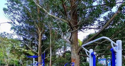 Private Rooms in San Pedro, San Jose