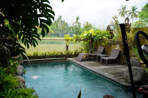 A pool with a wooden deck and lounge chairs, surrounded by tropical plants and palm trees.