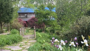 A garden pathway leading to a rustic wooden house with a blue roof. - Charming Log Cabin Retreat with Flower Garden (McKenzie)