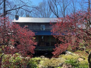 Exterior - Charming Log Cabin Retreat with Flower Garden (McKenzie)