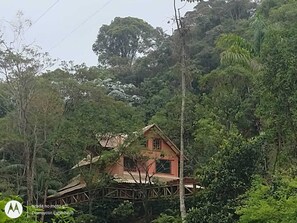 Escape to a secluded retreat surrounded by lush forest and dense vegetation.