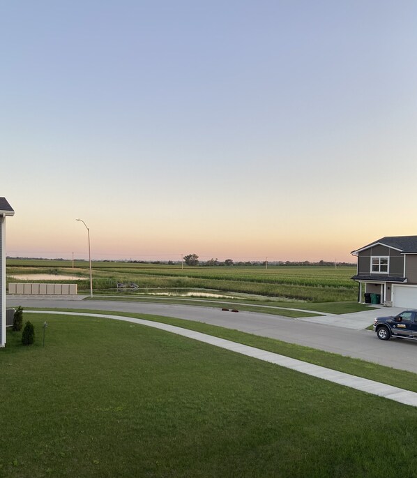 Um bairro residencial com uma entrada de automóveis que leva a uma casa, um lampião e um campo ao fundo.