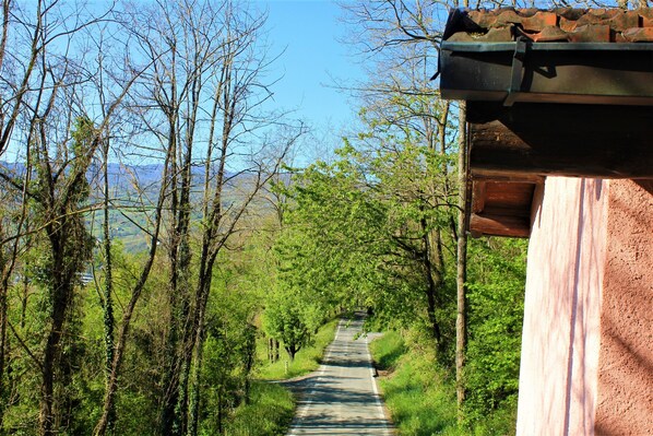 A narrow road flanked by trees and a building with a sloped roof.