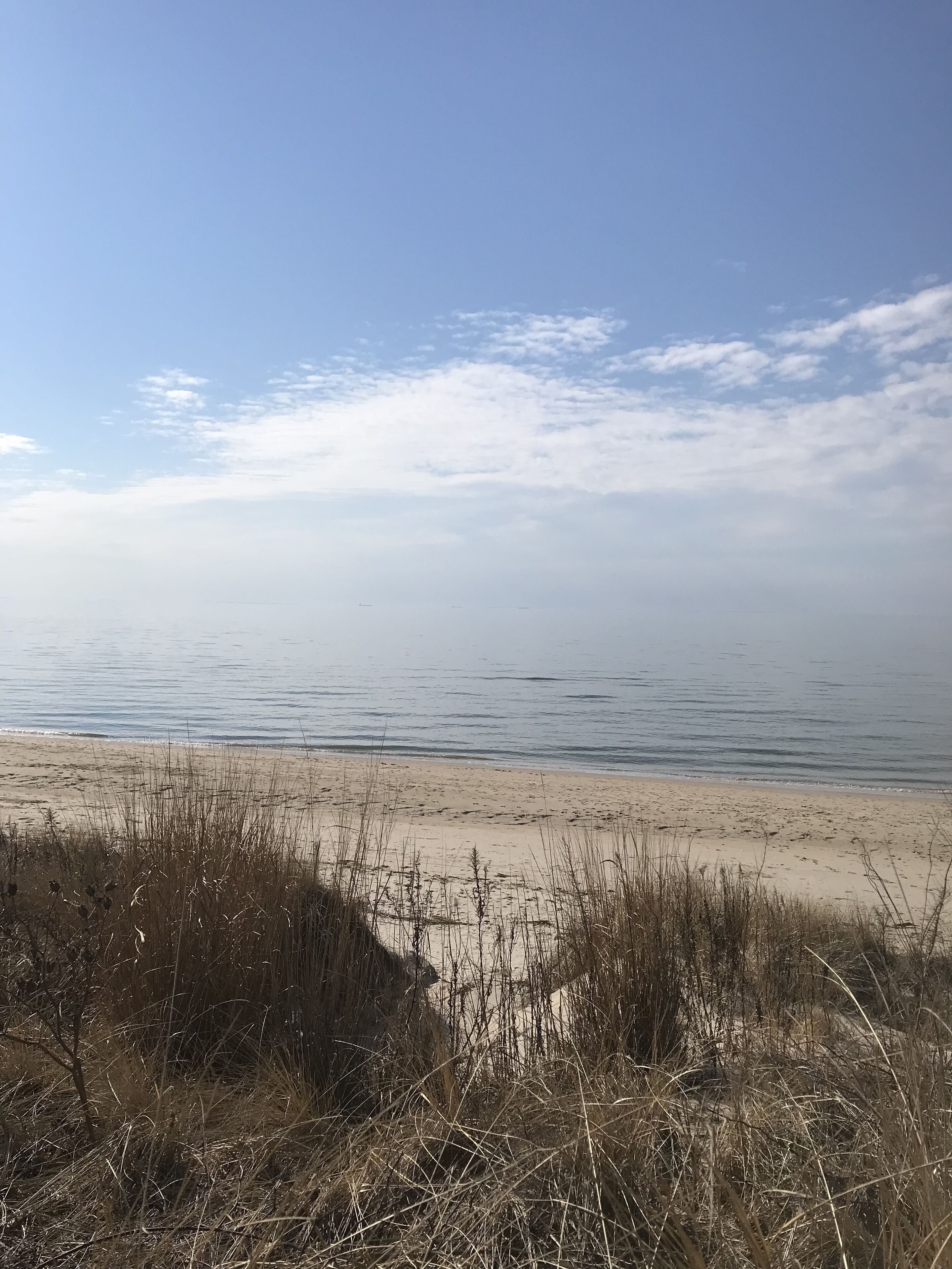 Beach nearby, beach towels