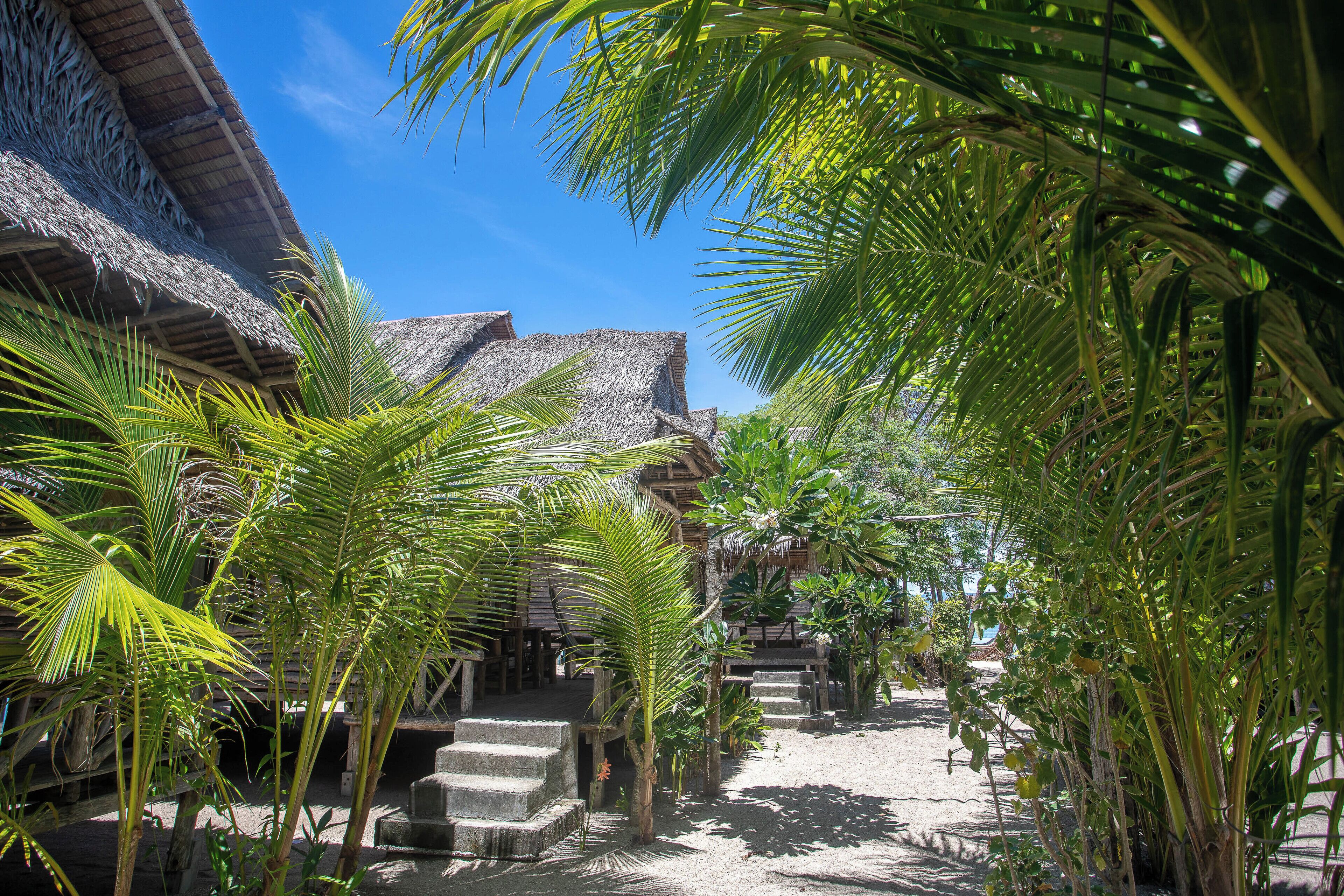 Ein tropisches Resort mit strohgedeckten Gebäuden, Palmen und blauem Himmel.