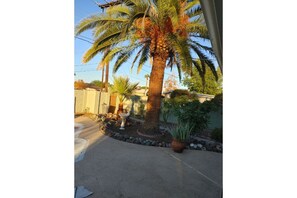 Surrounded by lush palm trees and a serene garden, this tranquil outdoor space invites relaxation.