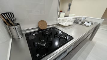 Basic Apartment | Private kitchen | Full-size fridge, microwave, stovetop, electric kettle