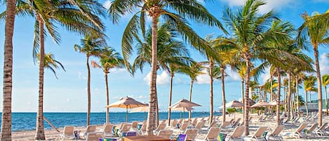 Sun loungers, beach towels