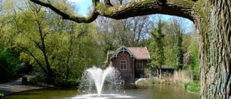 Àrea exterior de l'allotjament