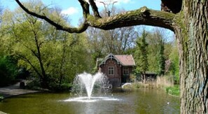 Property grounds - Beautiful quiet Apt in the center of Amsterdam (Amsterdam)