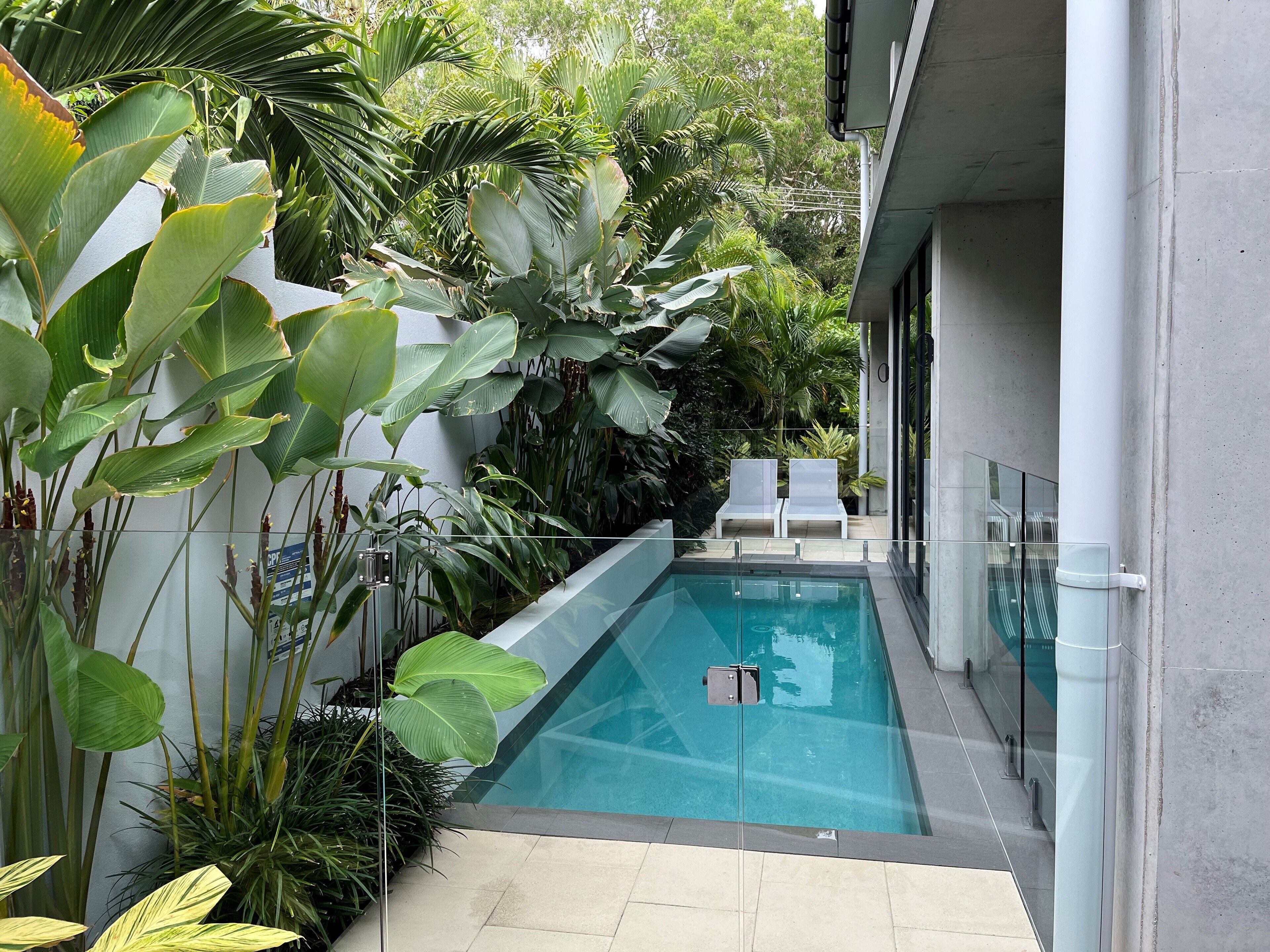 A modern pool area with glass railings, two lounge chairs, and lush tropical plants.
