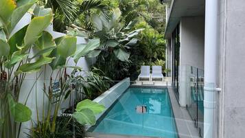 A modern pool area with glass railings, two lounge chairs, and lush tropical plants.