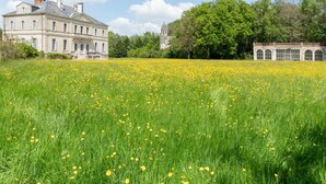 A large, historic building with a symmetrical facade and a prominent tower, surrounded by a lush green field with yellow flowers. - Chateau du Hallay (Montaigu-Vendée)