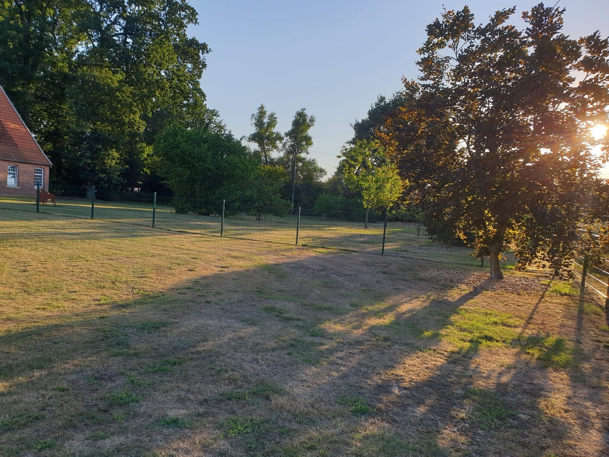 A fenced outdoor area with grass, trees, and a building in the background.