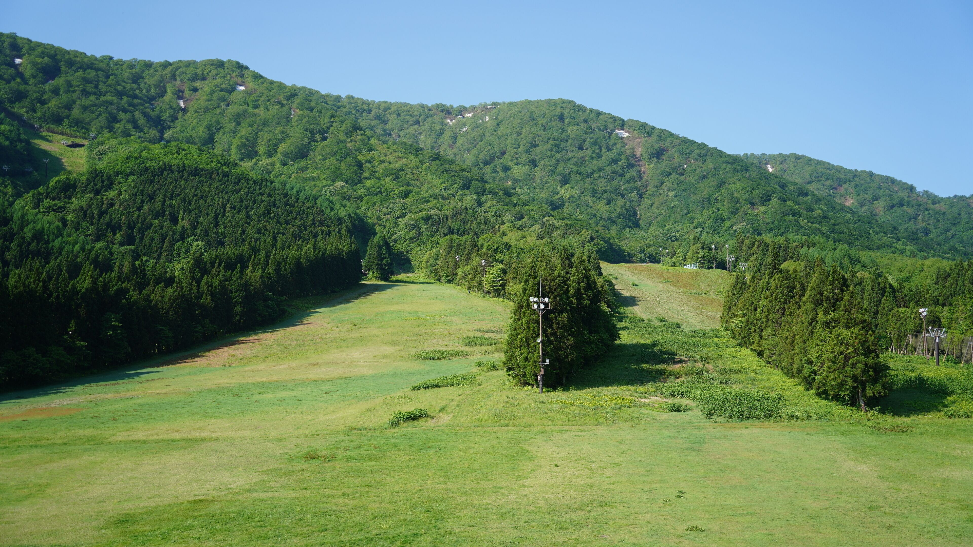A lush green landscape with a clear path leading through a forested area towards a hill with scattered buildings.