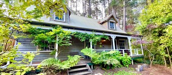 Holly Lodge | Two-Storey Cedar Chalet, 4 Bedroom, 2 Bathroom, Fireplaces, BBQ, Near Hydro Majestic