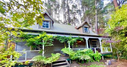 Holly Lodge | Two-Storey Cedar Chalet, 4 Bedroom, 2 Bathroom, Fireplaces, BBQ, Near Hydro Majestic