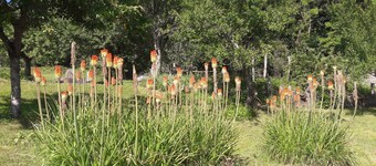 La Maison du Rostaing