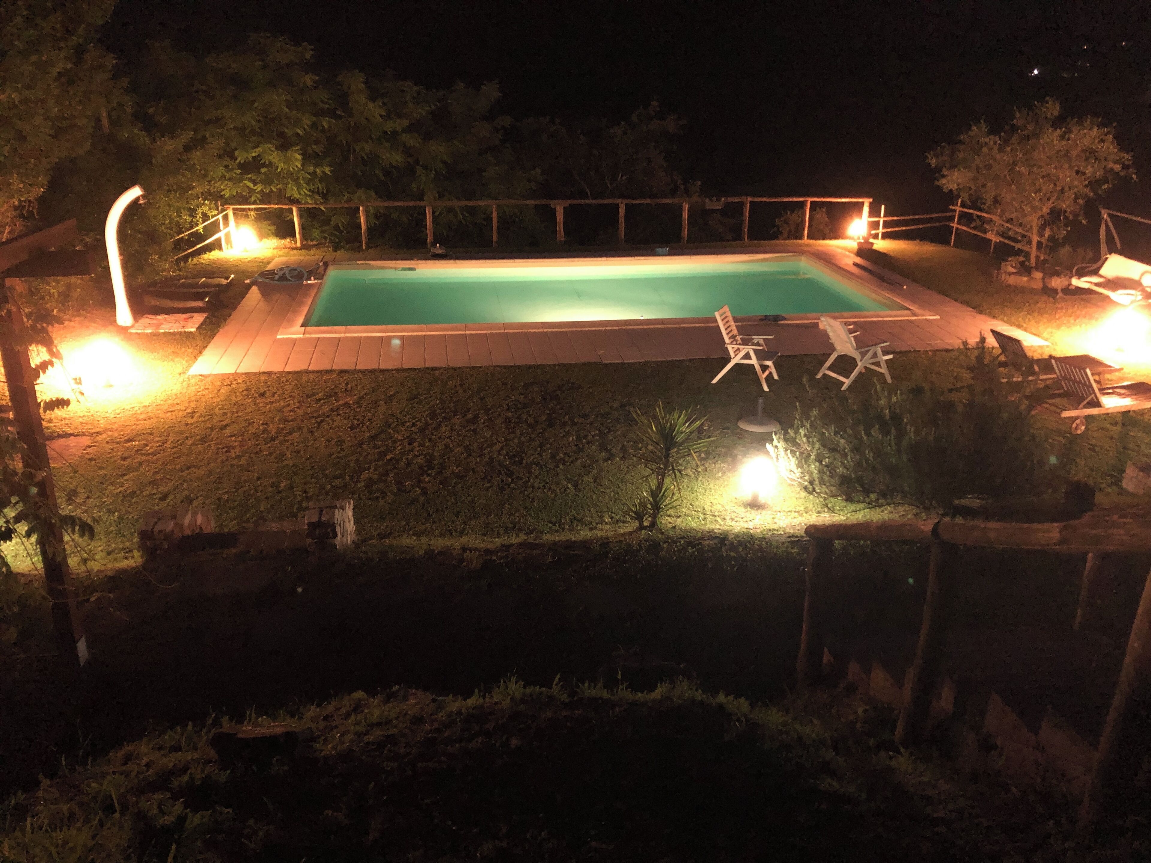 A swimming pool with a wooden deck and lounge chairs, surrounded by a wooden fence and trees.