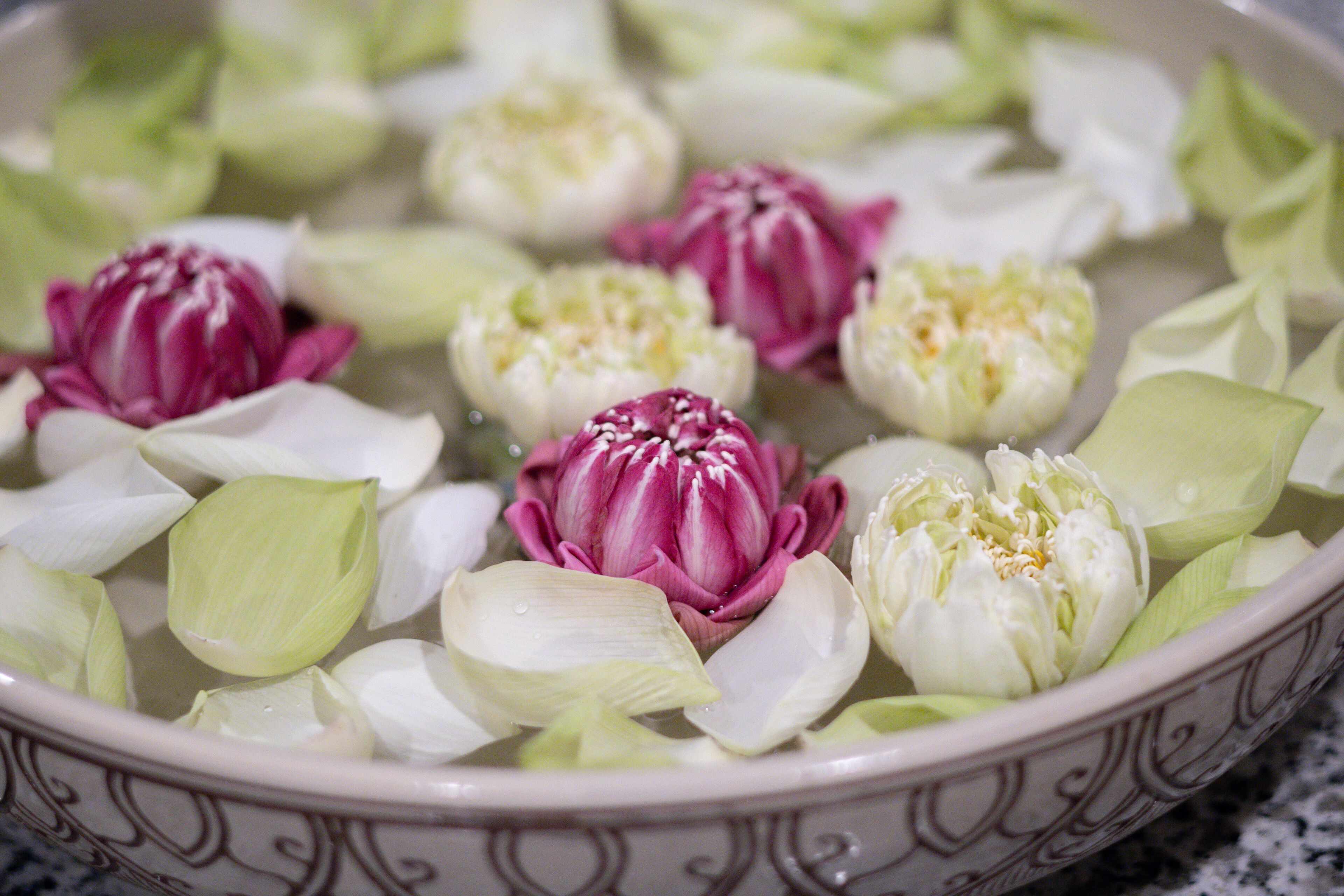 Un récipient contenant des fleurs et des feuilles de lotus.