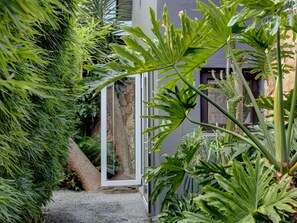 A lush garden with various tropical plants and a white metal gate.