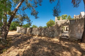 Explore ancient history within these historic walls, surrounded by serene natural beauty.