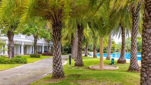 Un sendero pavimentado bordeado de palmeras y un edificio con columnas al fondo.
