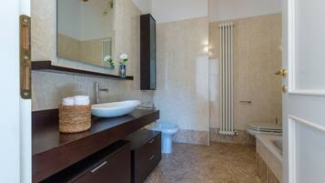 Shower, hair dryer, bidet, towels