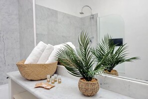 Shower, hair dryer, towels