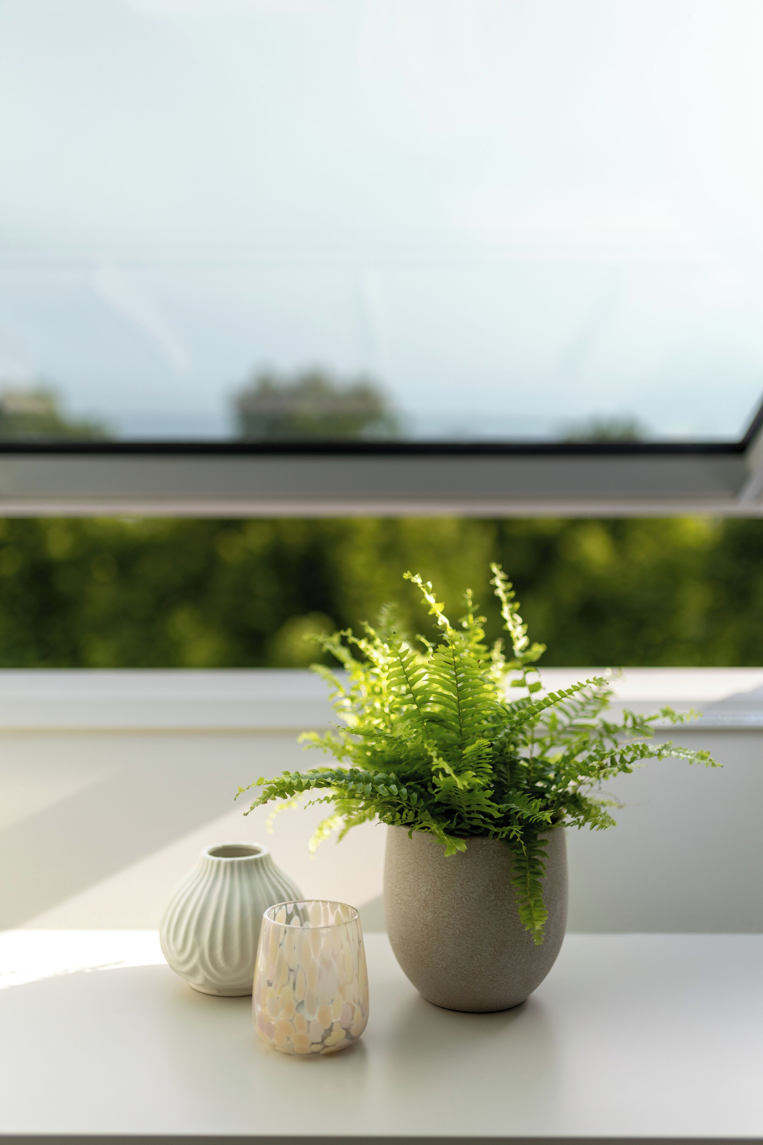 Un helecho en maceta sobre un alféizar con vistas a la vegetación.