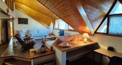 A CENTRIC DUPLEX WITH VIEWS - El Niuet de Sort