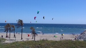 Een strand met palmbomen, mensen en vliegerende vliegers.