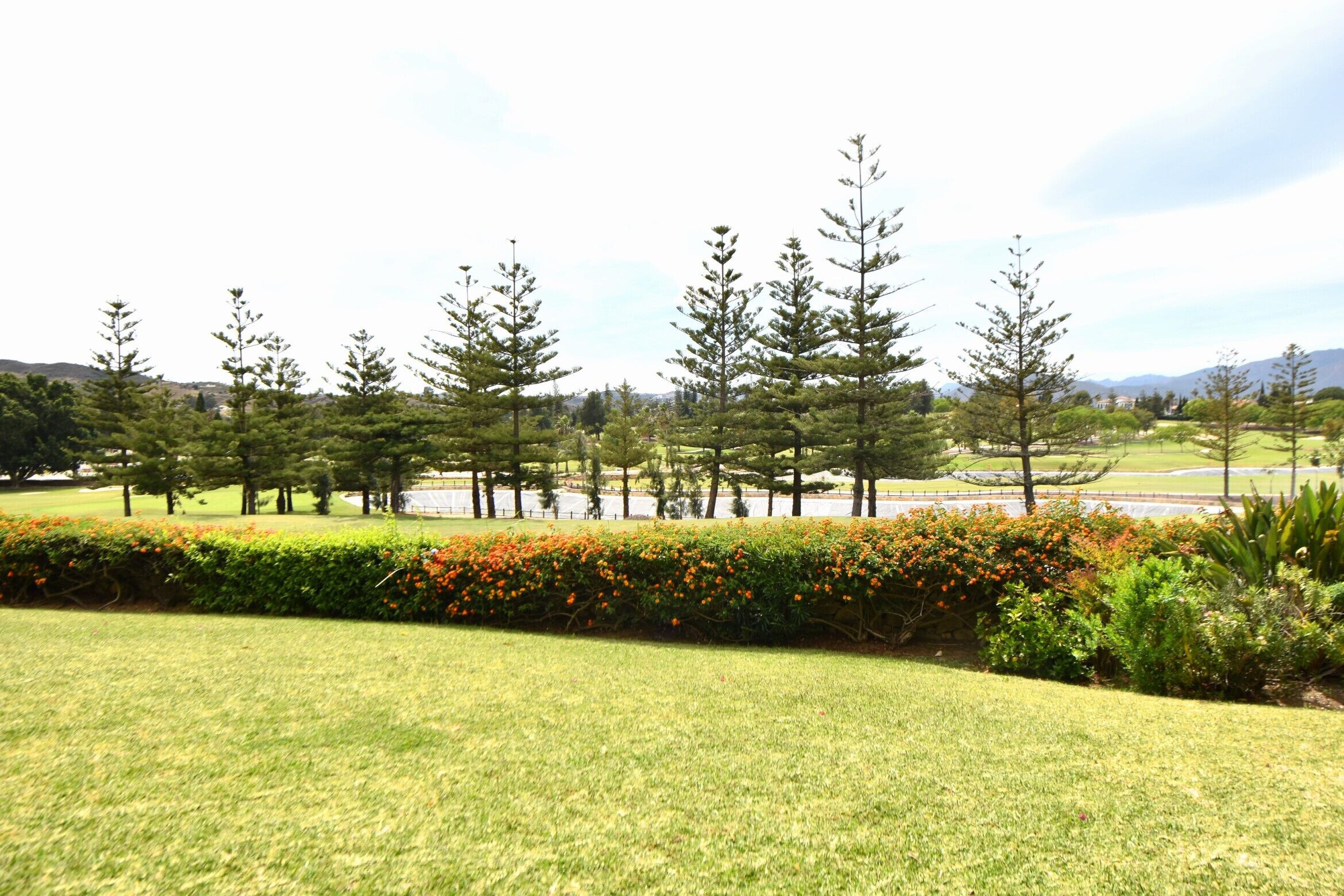 A landscaped area with a variety of trees and a well-maintained lawn.